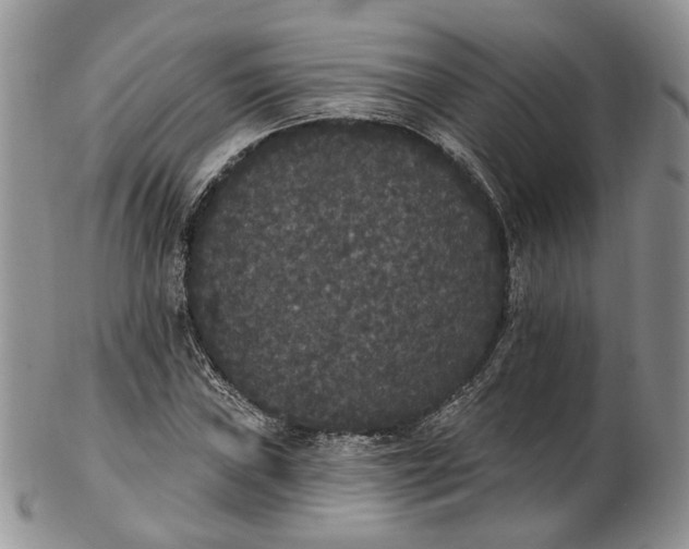 X0000102811019200809021154