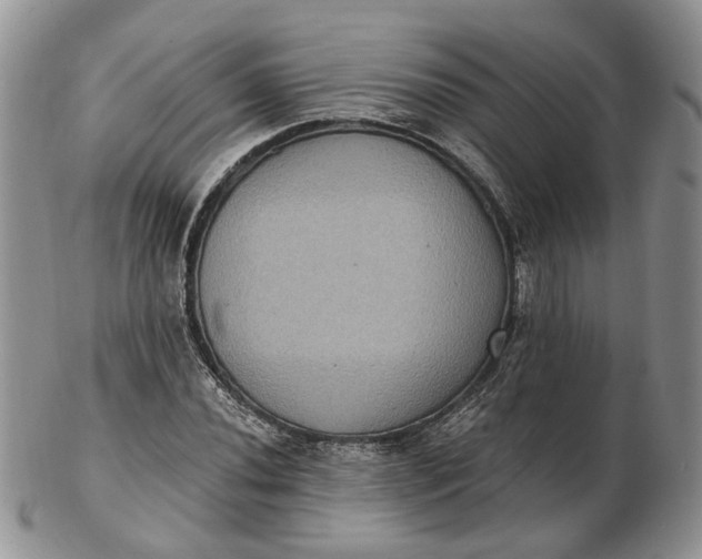 X0000102811020200809021154