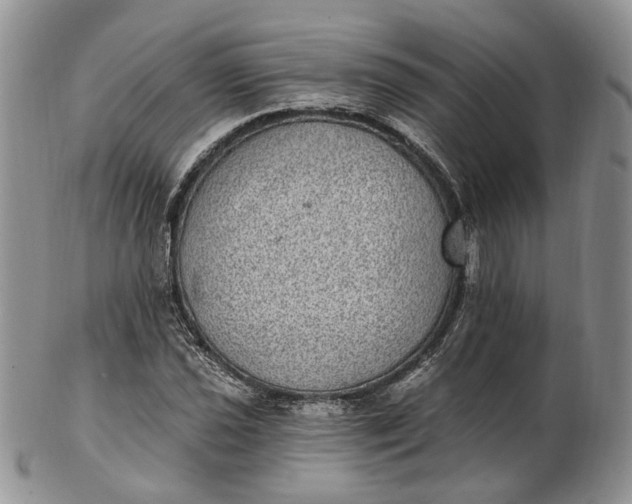 X0000102811021200809021154