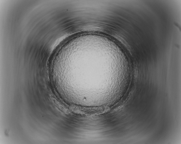 X0000102811022200809021154