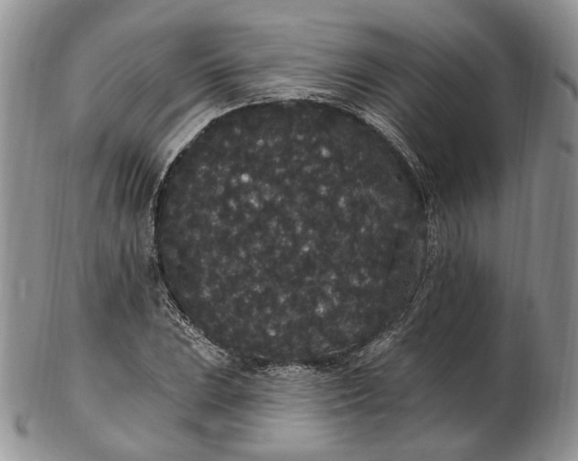 X0000102811023200809021154