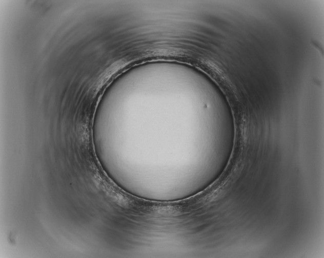 X0000102811025200809021154