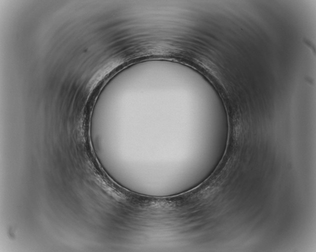 X0000102811026200809021154