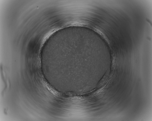 X0000102811027200809021154