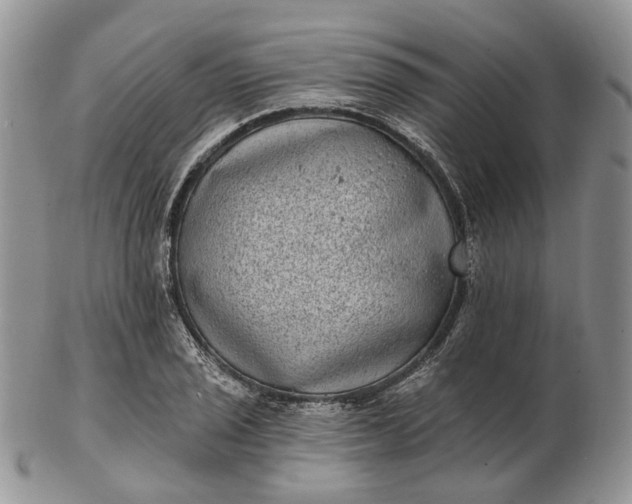 X0000102811029200809021154