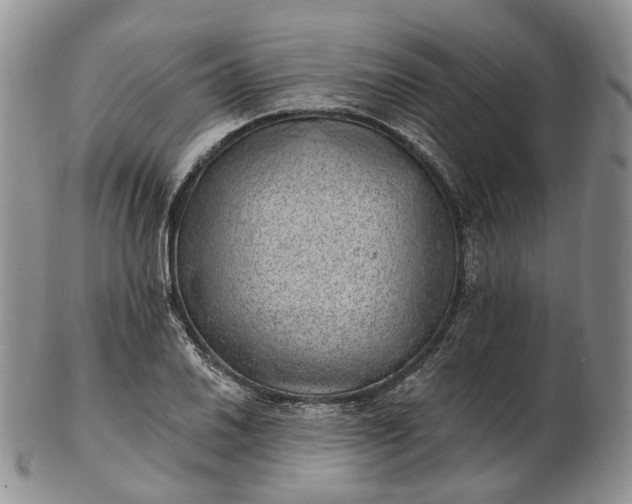 X0000102811030200809021154