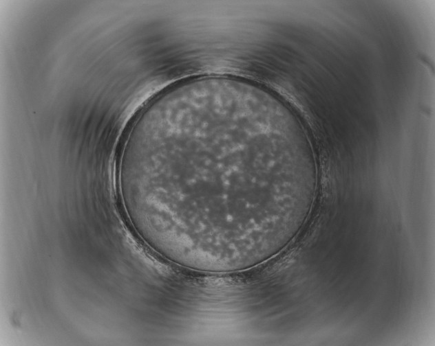 X0000102811032200809021154