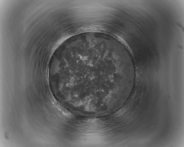 X0000102811035200809021154