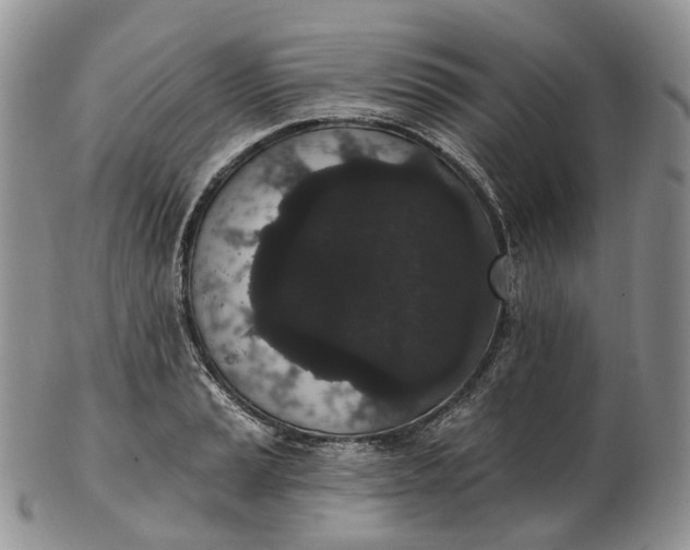 X0000102811037200809021154