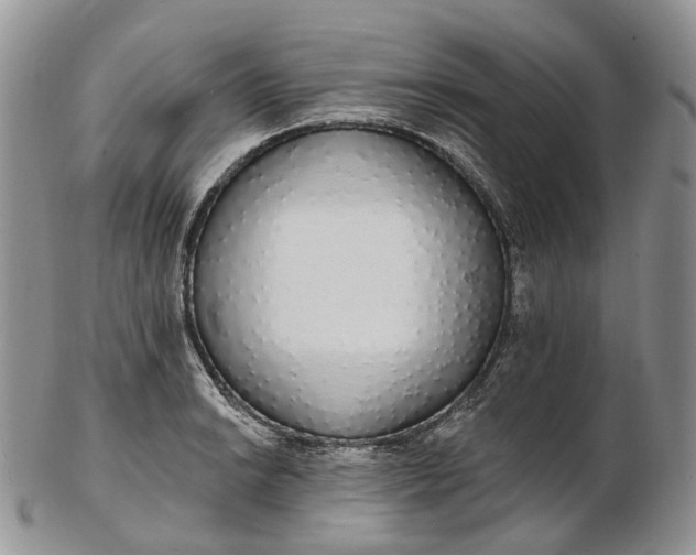 X0000102811038200809021154