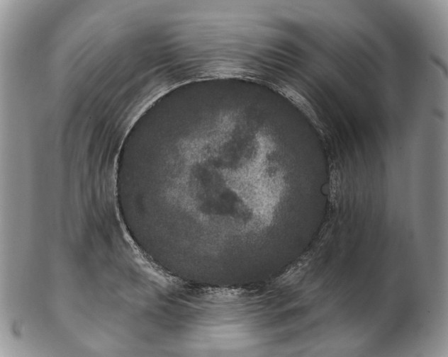 X0000102811039200809021154