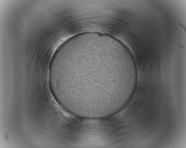 X0000102811040200809021154