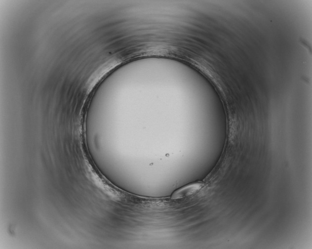 X0000102811042200809021154