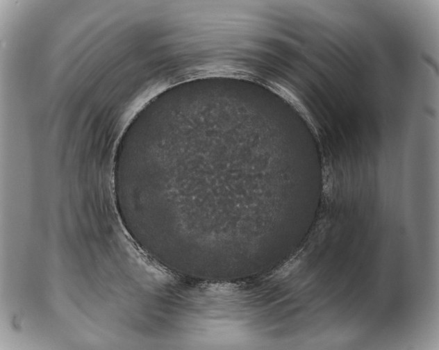 X0000102811043200809021154