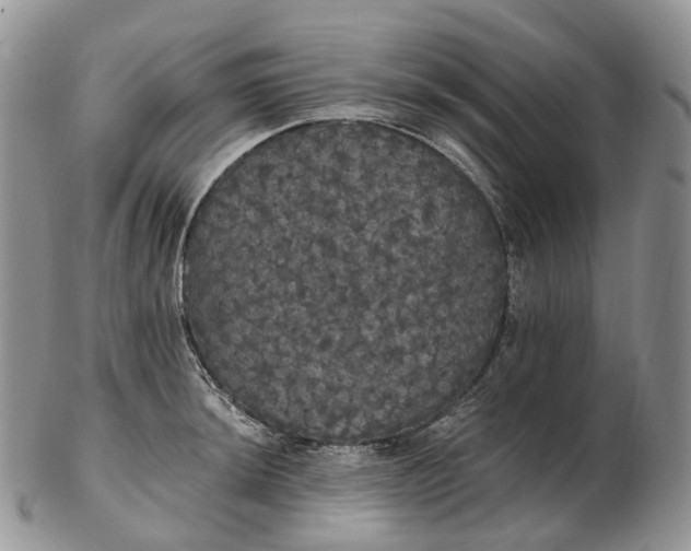 X0000102811044200809021154