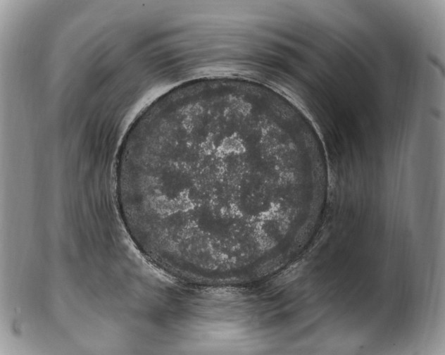 X0000102811045200809021154