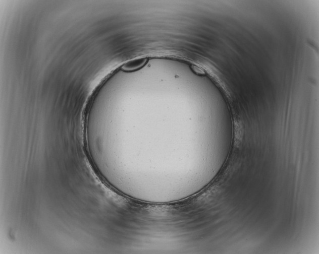 X0000102811046200809021154