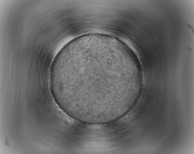 X0000102811048200809021154