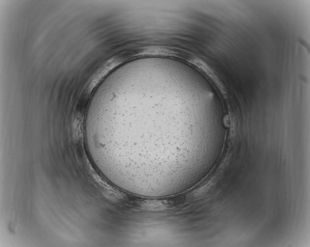 X0000102811049200809021154