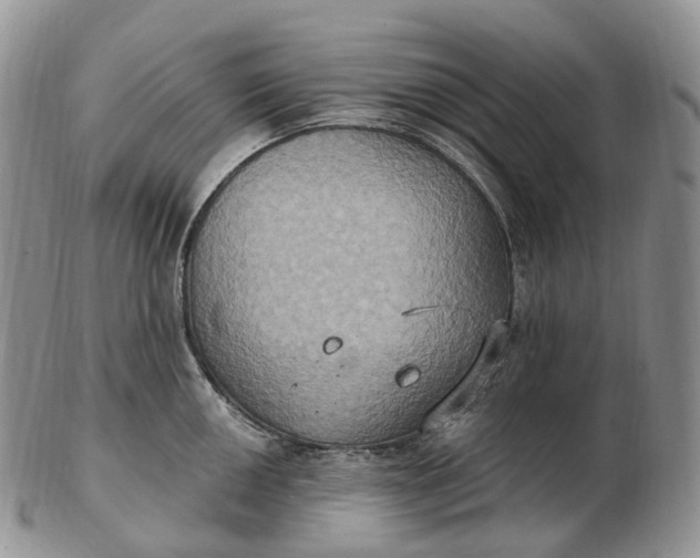 X0000102811050200809021155