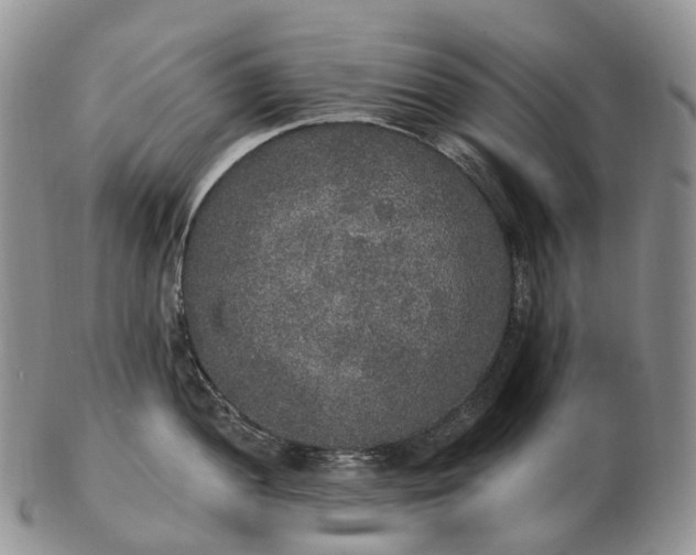 X0000102811052200809021155