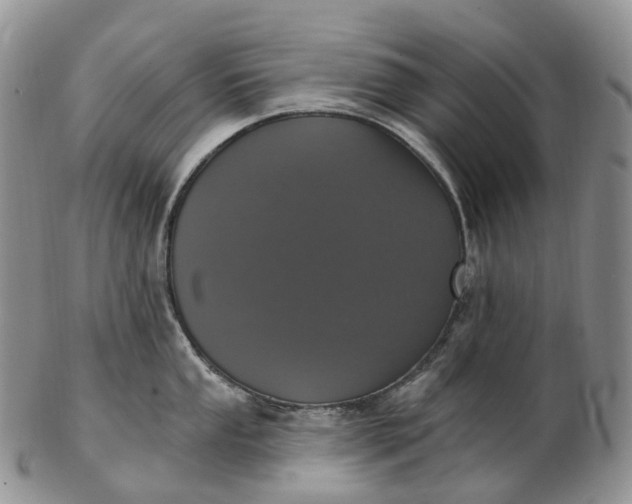 X0000102811053200809021155