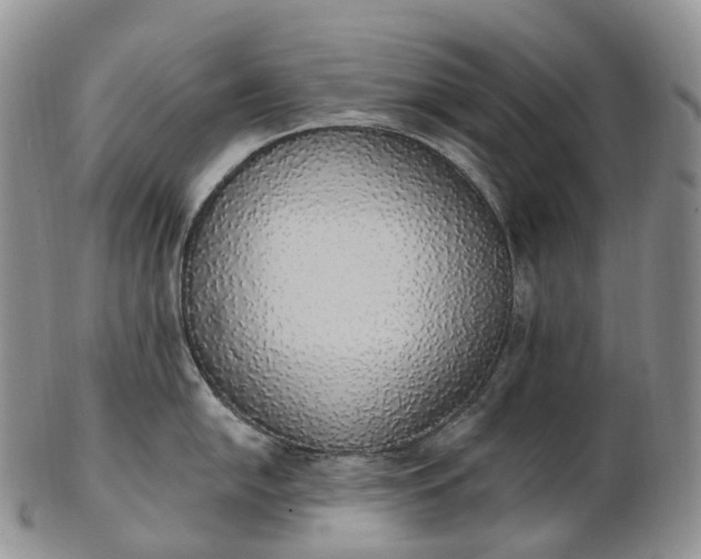 X0000102811054200809021155