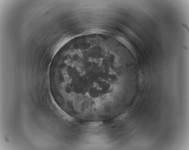 X0000102811055200809021155