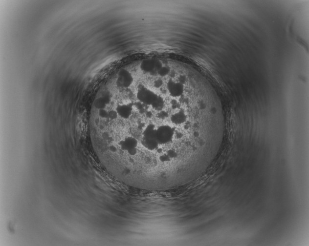 X0000102811063200809021154