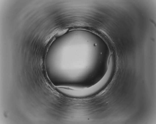 X0000102811065200809021154