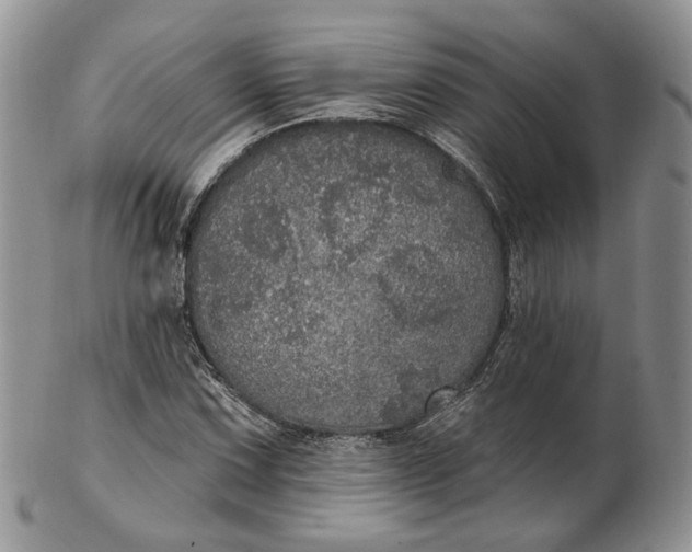 X0000102811067200809021154