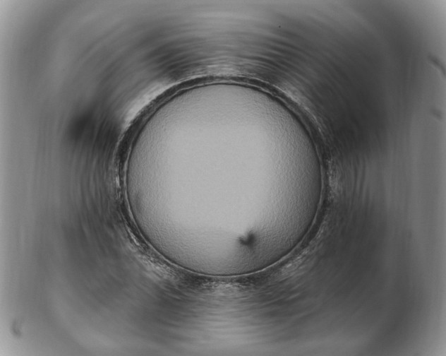 X0000102811070200809021154