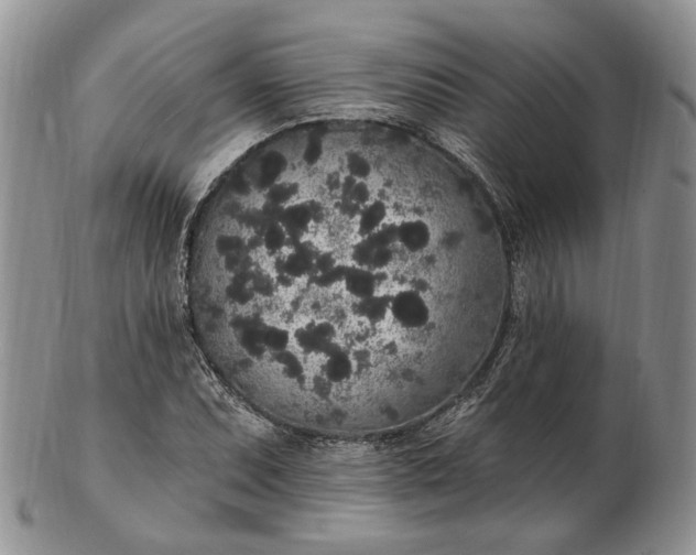 X0000102811071200809021154