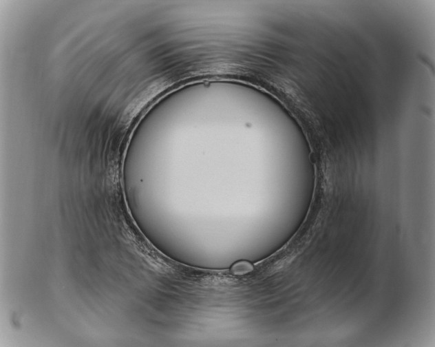 X0000102811073200809021154