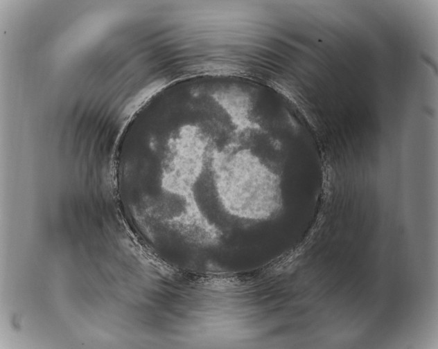 X0000102811074200809021154