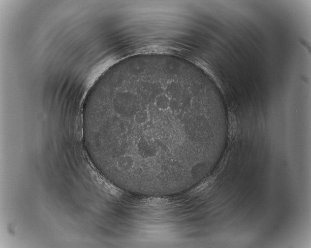 X0000102811075200809021154