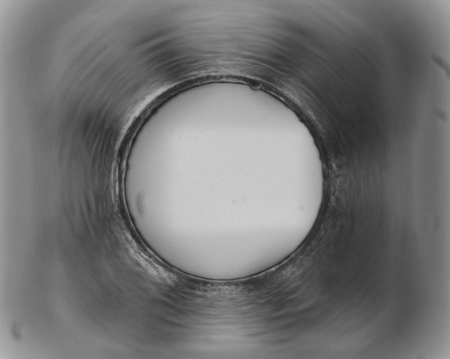 X0000102811076200809021154