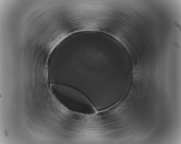 X0000102811077200809021154