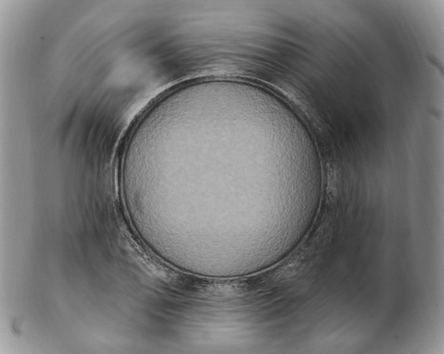 X0000102811078200809021154