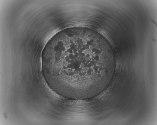 X0000102811079200809021154