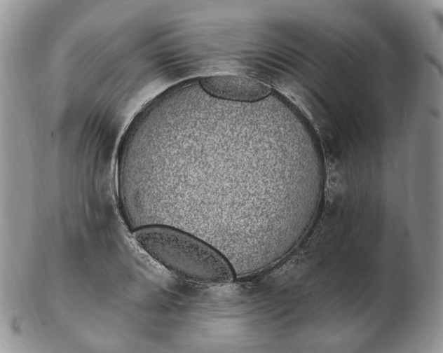 X0000102811080200809021154