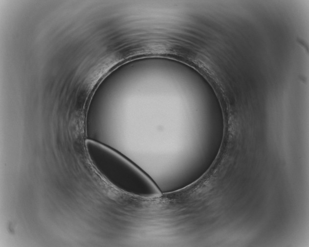 X0000102811081200809021154