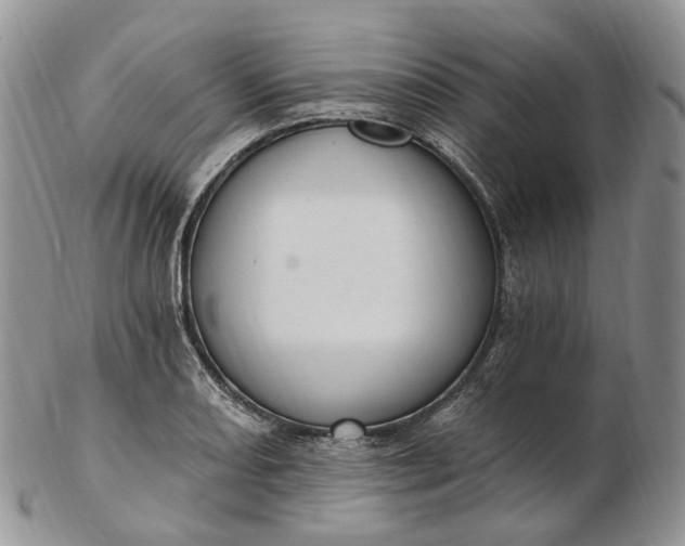 X0000102811082200809021154