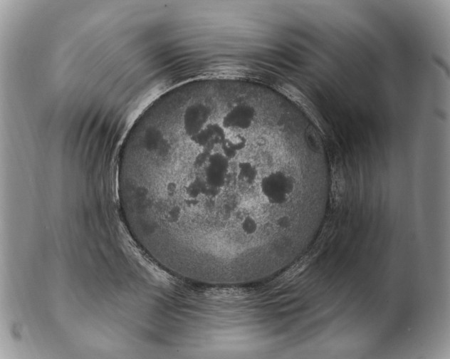 X0000102811083200809021154