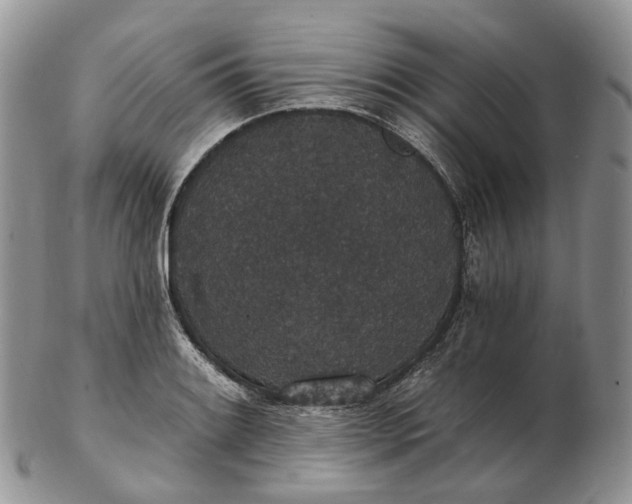 X0000102811084200809021154