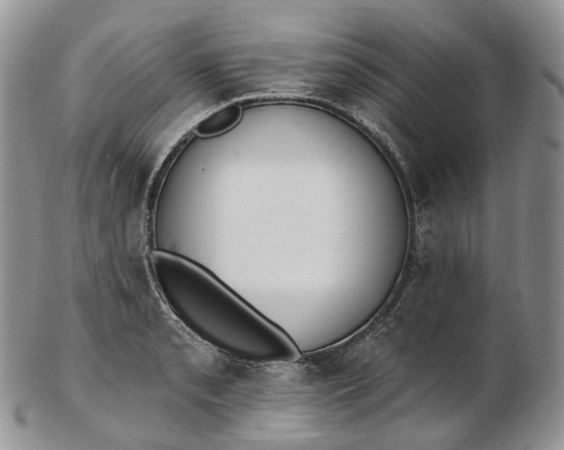 X0000102811085200809021154