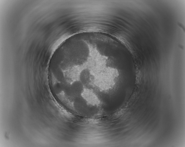 X0000102811086200809021154