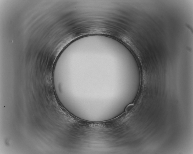 X0000102811089200809021153