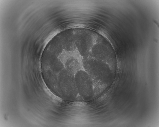 X0000102811090200809021153