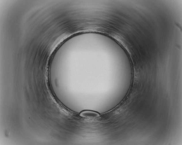 X0000102811093200809021153